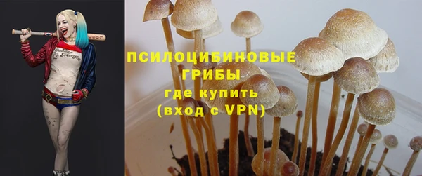 гашик Пролетарск