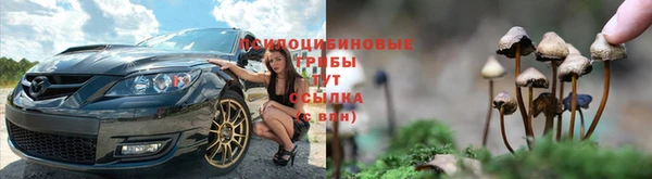 хмурый Россошь