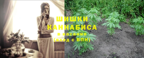 хмурый Россошь