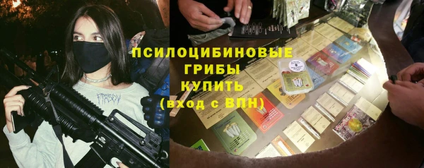 хмурый Россошь
