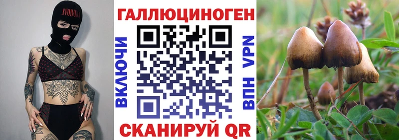 Псилоцибиновые грибы GOLDEN TEACHER  где купить   Ухта 