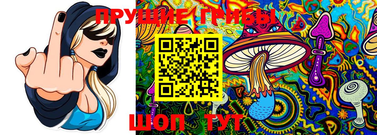 Галлюциногенные грибы Psilocybine cubensis  Галлюциногенные грибы Psilocybe  Вход с VPN  Ухта 