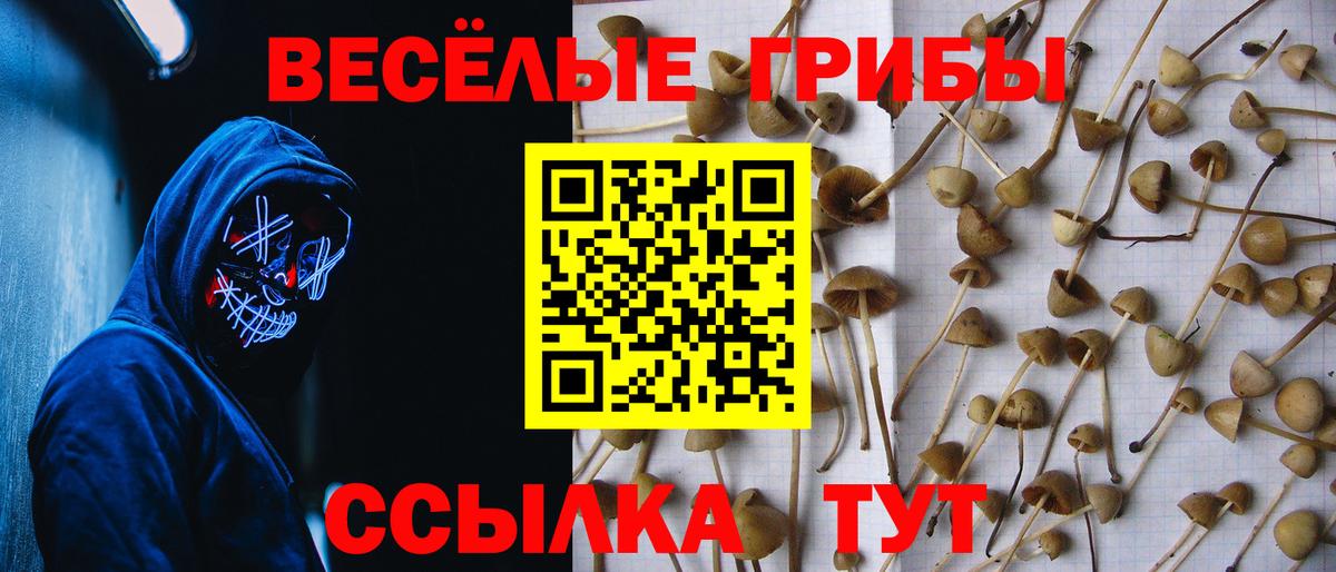 Псилоцибиновые грибы MAGIC MUSHROOMS Ухта