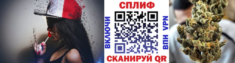 Бошки Шишки семена  Ухта 